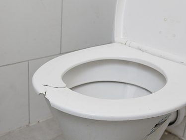 broken-toilet-seat-2-edited